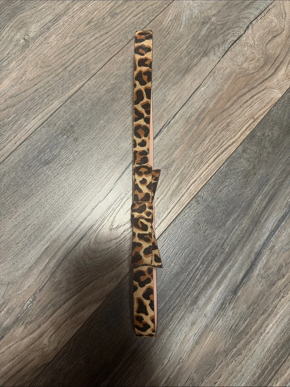 kate spade Leopard Print Bow Belt in Brown and Black